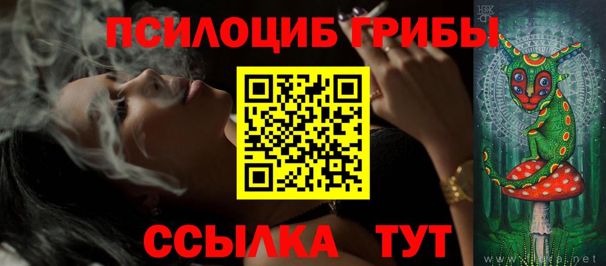 Псилоцибиновые грибы Psilocybe  Псилоцибиновые грибы GOLDEN TEACHER  Электрогорск  Вход с VPN 
