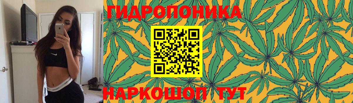 Электрогорск  Бошки Шишки Amnesia  МАРИХУАНА ГИДРОПОН  Марихуана OG Kush  Вход с VPN  Бошки марихуана Amnesia 